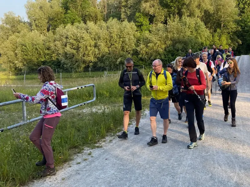 Teilnehmende wandern auf einem Kiesweg, eine Frau navigiert mit dem Smartphone.